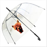 Alpaca Transparent Stick Umbrella
