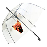 Alpaca Transparent Stick Umbrella