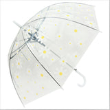 Daisy Print  Transparent Umbrella